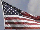 animated flag